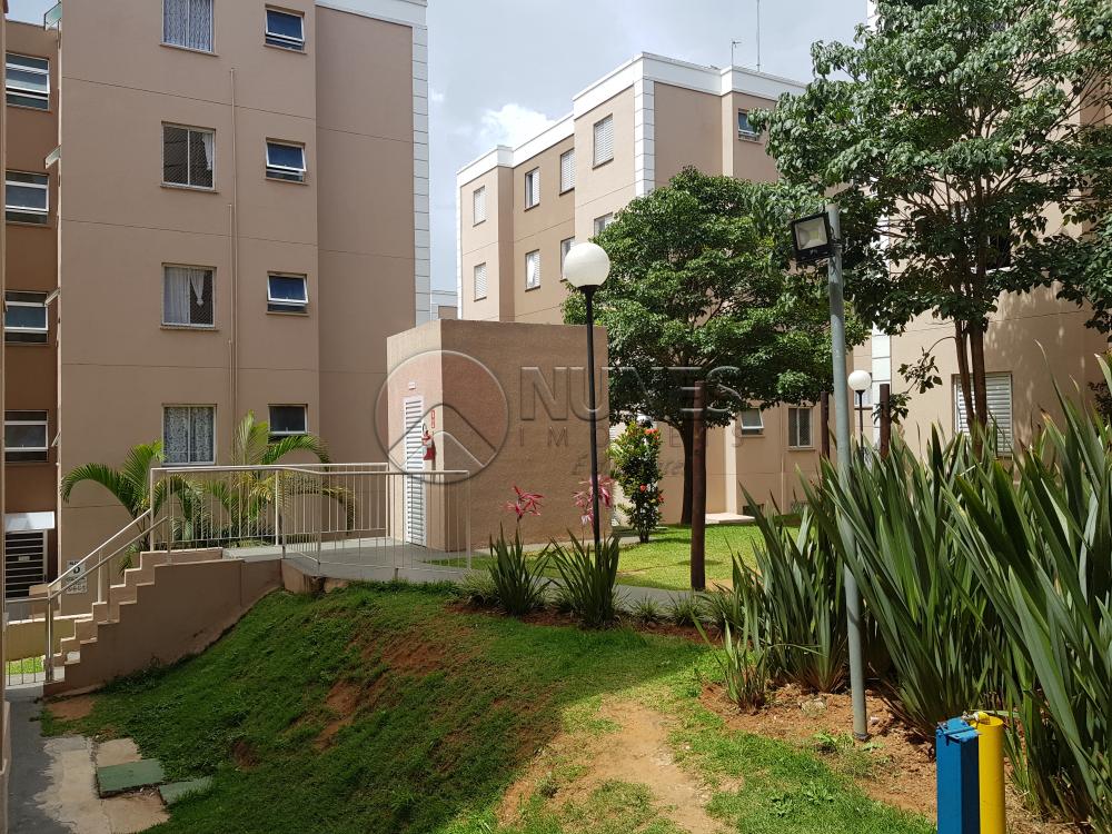 Alugar Apartamento / Padrão em Osasco apenas R$ 1.000,00 - Foto 17 Alugar Apartamento / Padrão em Osasco apenas R$ 1.000,00 - Foto 17