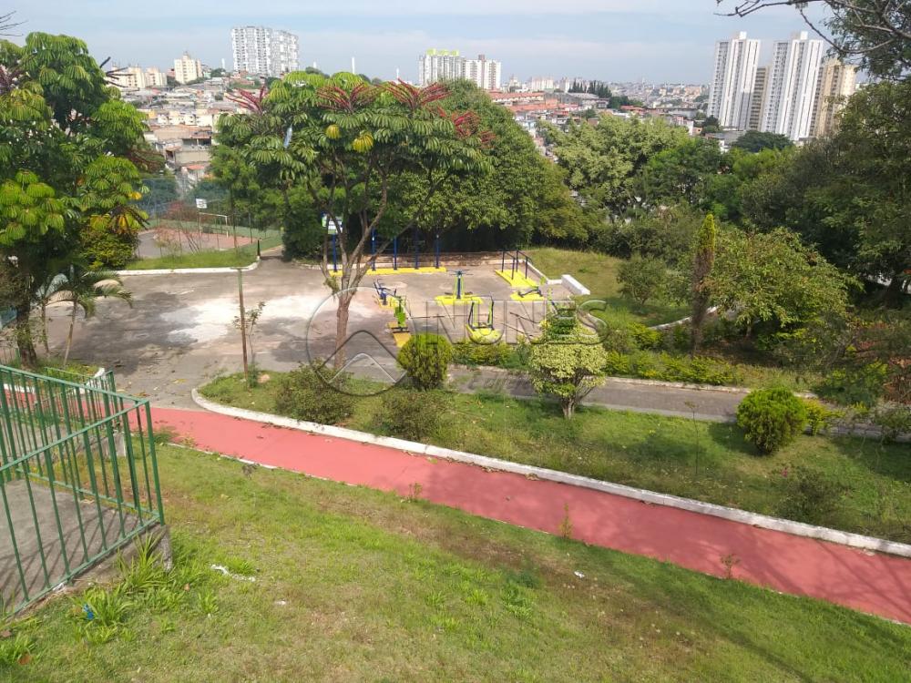 Comprar Apartamento / Padrão em Osasco apenas R$ 220.000,00 - Foto 16 Comprar Apartamento / Padrão em Osasco apenas R$ 220.000,00 - Foto 16