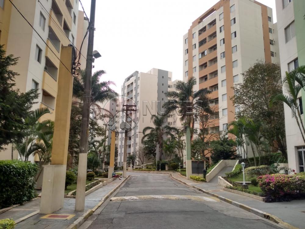 Alugar Apartamento / Padrão em Osasco apenas R$ 1.000,00 - Foto 1 Alugar Apartamento / Padrão em Osasco apenas R$ 1.000,00 - Foto 1