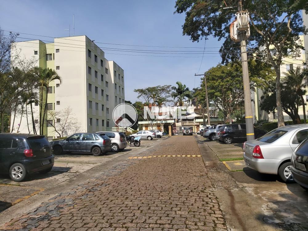 Alugar Apartamento / Padrão em São Paulo apenas R$ 100,00 - Foto 10 Alugar Apartamento / Padrão em São Paulo apenas R$ 100,00 - Foto 10