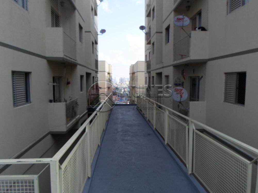 Comprar Apartamento / Padrão em Osasco apenas R$ 320.000,00 - Foto 21 Comprar Apartamento / Padrão em Osasco apenas R$ 320.000,00 - Foto 21