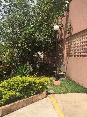 Alugar Apartamento / Padrão em Osasco R$ 1.200,00 - Foto 37 Alugar Apartamento / Padrão em Osasco R$ 1.200,00 - Foto 37