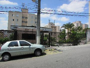Alugar Apartamento / Padrão em Osasco R$ 980,00 - Foto 12 Alugar Apartamento / Padrão em Osasco R$ 980,00 - Foto 12