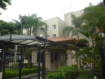 Alugar Apartamento / Padrão em Osasco R$ 1.600,00 - Foto 14 Alugar Apartamento / Padrão em Osasco R$ 1.600,00 - Foto 14