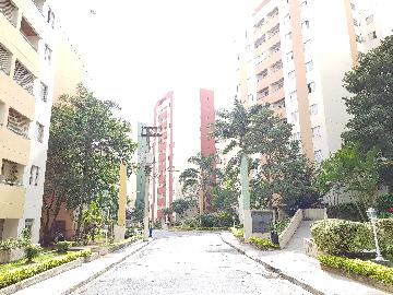 Comprar Apartamento / Apartamento em Osasco apenas R$ 280.000,00 - Foto 10 Comprar Apartamento / Apartamento em Osasco apenas R$ 280.000,00 - Foto 10