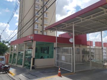 Alugar Apartamento / Padrão em Osasco R$ 850,00 - Foto 11 Alugar Apartamento / Padrão em Osasco R$ 850,00 - Foto 11