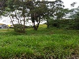 imagem 4 - Terreno - Terreno imagem 4 - Terreno - Terreno