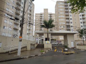imagem 1 - Apartamento Reformado à Venda - Solar dos Nogueira imagem 1 - Apartamento Reformado à Venda - Solar dos Nogueira