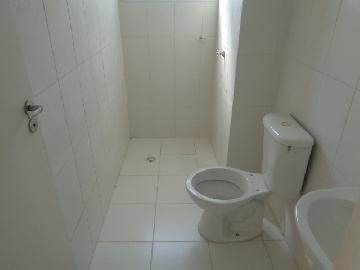 Alugar Apartamento / Padrão em Osasco R$ 900,00 - Foto 7 Alugar Apartamento / Padrão em Osasco R$ 900,00 - Foto 7