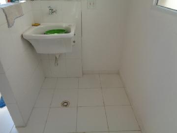 Alugar Apartamento / Padrão em Osasco R$ 900,00 - Foto 12 Alugar Apartamento / Padrão em Osasco R$ 900,00 - Foto 12