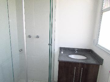 Alugar Apartamento / Apartamento em Osasco apenas R$ 1.250,00 - Foto 14 Alugar Apartamento / Apartamento em Osasco apenas R$ 1.250,00 - Foto 14