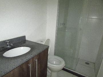 Alugar Apartamento / Apartamento em Osasco apenas R$ 1.250,00 - Foto 15 Alugar Apartamento / Apartamento em Osasco apenas R$ 1.250,00 - Foto 15
