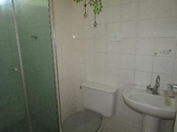 Alugar Apartamento / Padrão em Osasco R$ 750,00 - Foto 8 Alugar Apartamento / Padrão em Osasco R$ 750,00 - Foto 8