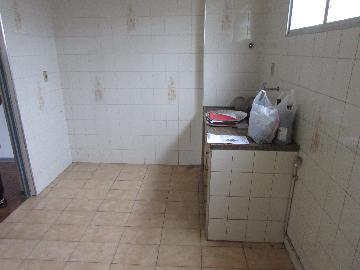 imagem 5 - Apartamento - Padrão imagem 5 - Apartamento - Padrão