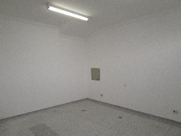 Alugar Comercial / Predio Comercial em Osasco apenas R$ 8.800,00 - Foto 16 Alugar Comercial / Predio Comercial em Osasco apenas R$ 8.800,00 - Foto 16