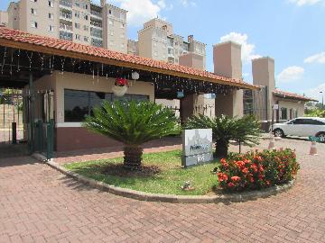 Alugar Apartamento / Apartamento em Campinas apenas R$ 1.550,00 - Foto 1 Alugar Apartamento / Apartamento em Campinas apenas R$ 1.550,00 - Foto 1