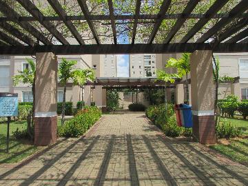 Alugar Apartamento / Apartamento em Campinas apenas R$ 1.550,00 - Foto 4 Alugar Apartamento / Apartamento em Campinas apenas R$ 1.550,00 - Foto 4