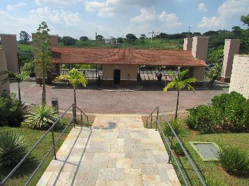 Alugar Apartamento / Apartamento em Campinas apenas R$ 1.550,00 - Foto 6 Alugar Apartamento / Apartamento em Campinas apenas R$ 1.550,00 - Foto 6