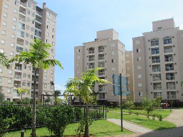 Alugar Apartamento / Apartamento em Campinas apenas R$ 1.550,00 - Foto 10 Alugar Apartamento / Apartamento em Campinas apenas R$ 1.550,00 - Foto 10