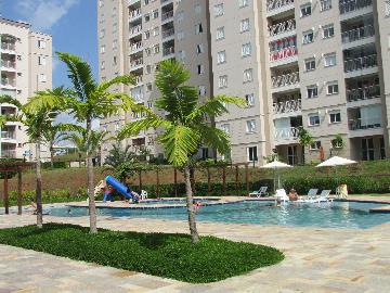 Alugar Apartamento / Apartamento em Campinas apenas R$ 1.550,00 - Foto 12 Alugar Apartamento / Apartamento em Campinas apenas R$ 1.550,00 - Foto 12