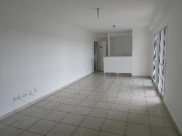 Alugar Apartamento / Apartamento em Campinas apenas R$ 1.550,00 - Foto 15 Alugar Apartamento / Apartamento em Campinas apenas R$ 1.550,00 - Foto 15