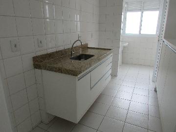 Alugar Apartamento / Apartamento em Campinas apenas R$ 1.550,00 - Foto 18 Alugar Apartamento / Apartamento em Campinas apenas R$ 1.550,00 - Foto 18