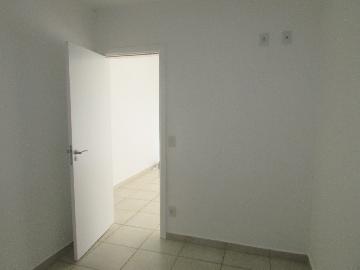 Alugar Apartamento / Apartamento em Campinas apenas R$ 1.550,00 - Foto 19 Alugar Apartamento / Apartamento em Campinas apenas R$ 1.550,00 - Foto 19