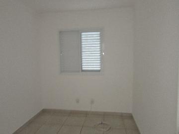 Alugar Apartamento / Apartamento em Campinas apenas R$ 1.550,00 - Foto 20 Alugar Apartamento / Apartamento em Campinas apenas R$ 1.550,00 - Foto 20