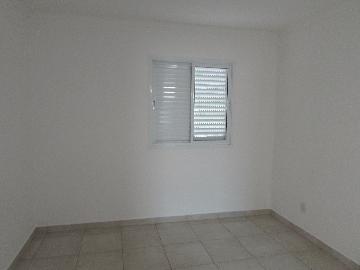 Alugar Apartamento / Apartamento em Campinas apenas R$ 1.550,00 - Foto 22 Alugar Apartamento / Apartamento em Campinas apenas R$ 1.550,00 - Foto 22