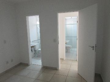 Alugar Apartamento / Apartamento em Campinas apenas R$ 1.550,00 - Foto 23 Alugar Apartamento / Apartamento em Campinas apenas R$ 1.550,00 - Foto 23