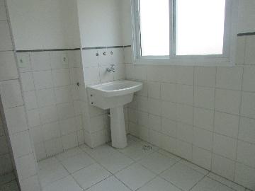 Alugar Apartamento / Apartamento em Campinas apenas R$ 1.550,00 - Foto 24 Alugar Apartamento / Apartamento em Campinas apenas R$ 1.550,00 - Foto 24