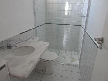Alugar Apartamento / Apartamento em Campinas apenas R$ 1.550,00 - Foto 25 Alugar Apartamento / Apartamento em Campinas apenas R$ 1.550,00 - Foto 25