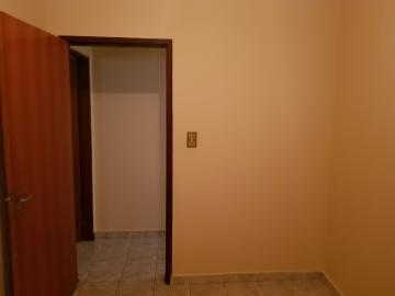 Alugar Casa / Terrea em Osasco apenas R$ 1.300,00 - Foto 13 Alugar Casa / Terrea em Osasco apenas R$ 1.300,00 - Foto 13