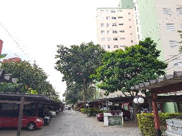 Alugar Apartamento / Apartamento em Osasco apenas R$ 850,00 - Foto 4 Alugar Apartamento / Apartamento em Osasco apenas R$ 850,00 - Foto 4