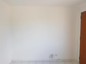 Alugar Apartamento / Padrão em Osasco R$ 600,00 - Foto 7 Alugar Apartamento / Padrão em Osasco R$ 600,00 - Foto 7