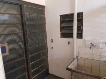 Alugar Casa / Sobrado em São Paulo R$ 1.300,00 - Foto 23 Alugar Casa / Sobrado em São Paulo R$ 1.300,00 - Foto 23