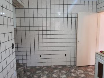 Alugar Casa / Sobrado em São Paulo R$ 1.300,00 - Foto 22 Alugar Casa / Sobrado em São Paulo R$ 1.300,00 - Foto 22