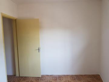 Alugar Casa / Sobrado em São Paulo R$ 1.300,00 - Foto 11 Alugar Casa / Sobrado em São Paulo R$ 1.300,00 - Foto 11