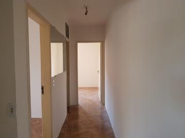 Alugar Casa / Sobrado em São Paulo R$ 1.300,00 - Foto 10 Alugar Casa / Sobrado em São Paulo R$ 1.300,00 - Foto 10