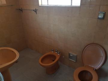 Alugar Casa / Sobrado em São Paulo R$ 1.300,00 - Foto 8 Alugar Casa / Sobrado em São Paulo R$ 1.300,00 - Foto 8