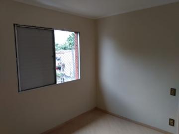 Alugar Apartamento / Padrão em Osasco R$ 1.500,00 - Foto 18 Alugar Apartamento / Padrão em Osasco R$ 1.500,00 - Foto 18