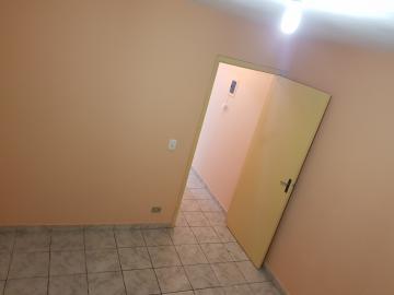 Alugar Casa / Terrea em Barueri apenas R$ 950,00 - Foto 14 Alugar Casa / Terrea em Barueri apenas R$ 950,00 - Foto 14