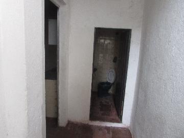 Alugar Casa / Terrea em Osasco R$ 800,00 - Foto 16 Alugar Casa / Terrea em Osasco R$ 800,00 - Foto 16
