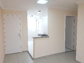 Alugar Apartamento / Padrão em Cotia. apenas R$ 790,00