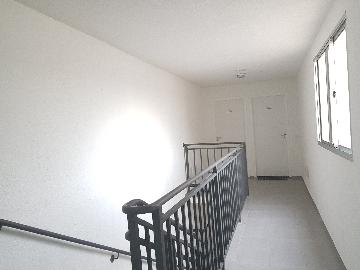 Alugar Apartamento / Apartamento em Cotia apenas R$ 790,00 - Foto 19 Alugar Apartamento / Apartamento em Cotia apenas R$ 790,00 - Foto 19