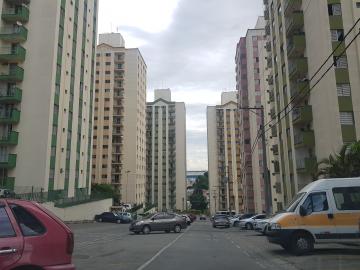 Alugar Apartamento / Apartamento em Osasco apenas R$ 700,00 - Foto 5 Alugar Apartamento / Apartamento em Osasco apenas R$ 700,00 - Foto 5
