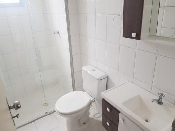 Alugar Apartamento / Apartamento em Osasco apenas R$ 700,00 - Foto 24 Alugar Apartamento / Apartamento em Osasco apenas R$ 700,00 - Foto 24