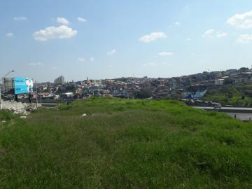 Osasco Sao Pedro Terreno Venda R$4.500.000,00  Area do terreno 4298.14m2 