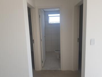 Alugar Apartamento / Padrão em Osasco apenas R$ 1.100,00 - Foto 12 Alugar Apartamento / Padrão em Osasco apenas R$ 1.100,00 - Foto 12