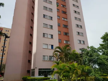 imagem 2 - Apartamento - Padrão imagem 2 - Apartamento - Padrão